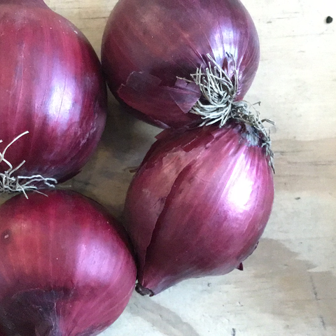 Onions, Red