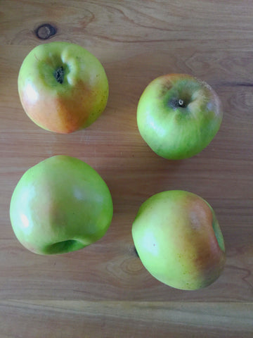 Apples 'Gravenstein’